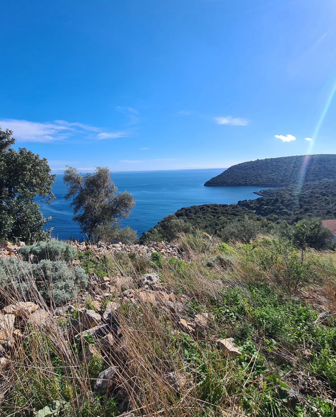 Μεζονετα κοντά στην παραλία