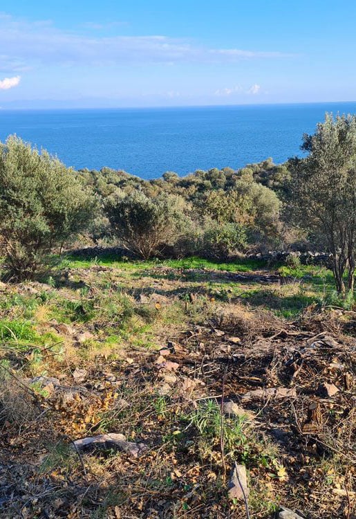 Γεωτεμάχιο στην Παγανέα